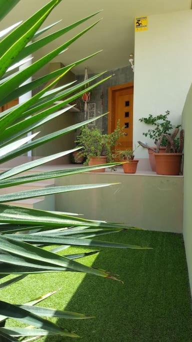 דירות פוארטו דל רוסריו Atlantic Star - Duplex With Ocean Views מראה חיצוני תמונה