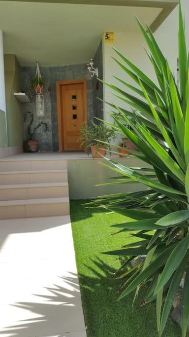 דירות פוארטו דל רוסריו Atlantic Star - Duplex With Ocean Views מראה חיצוני תמונה